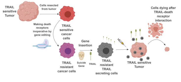 ux6r86evobcoyrukuuqu