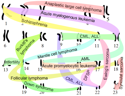Chromosomal_translocations