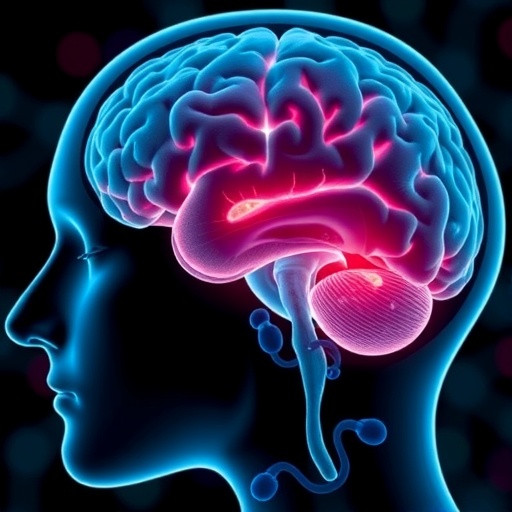 brain head